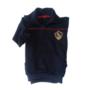 Buzo friza deportiva azul