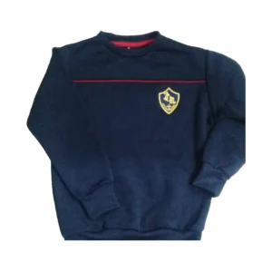 Buzo friza deportiva azul